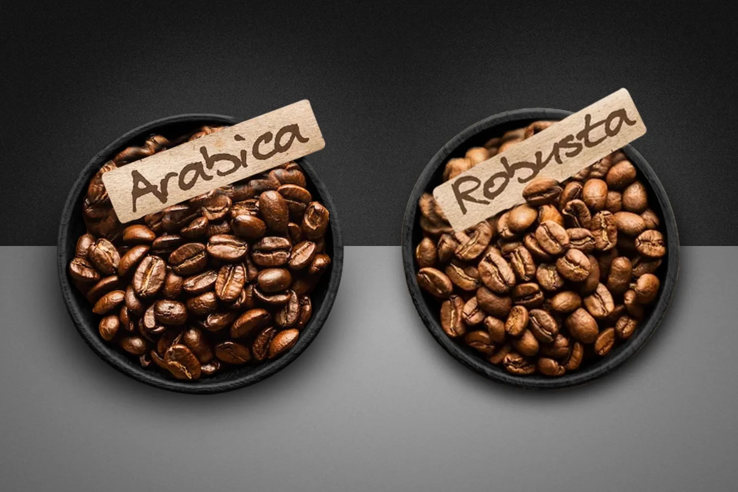 Exploring the Differences Between Arabica and Robusta Beans: Which One is Right for You?