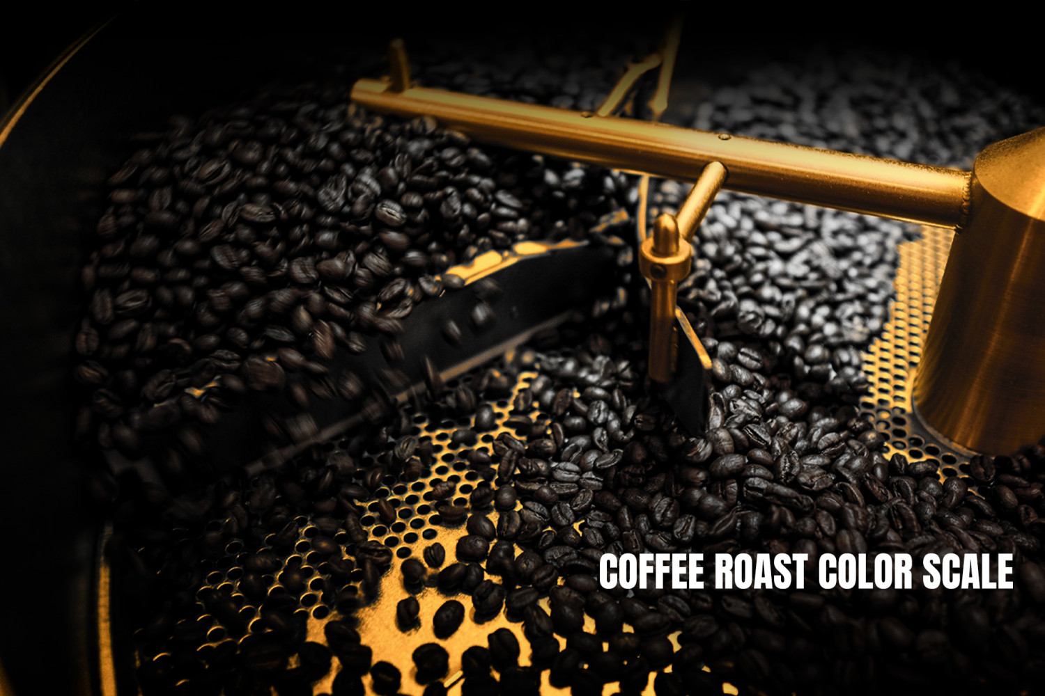 The Art of Roasting: Understanding the Coffee Roast Color Scale